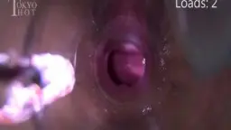 Nahaufnahme einer Männerhand die Sperma aus einem durchsichtigen Plastiklöffel auf eine nasse, geöffnete Pussy tropfen lässt