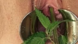 BDSM – Medizinisches Speculum Pussy Folter